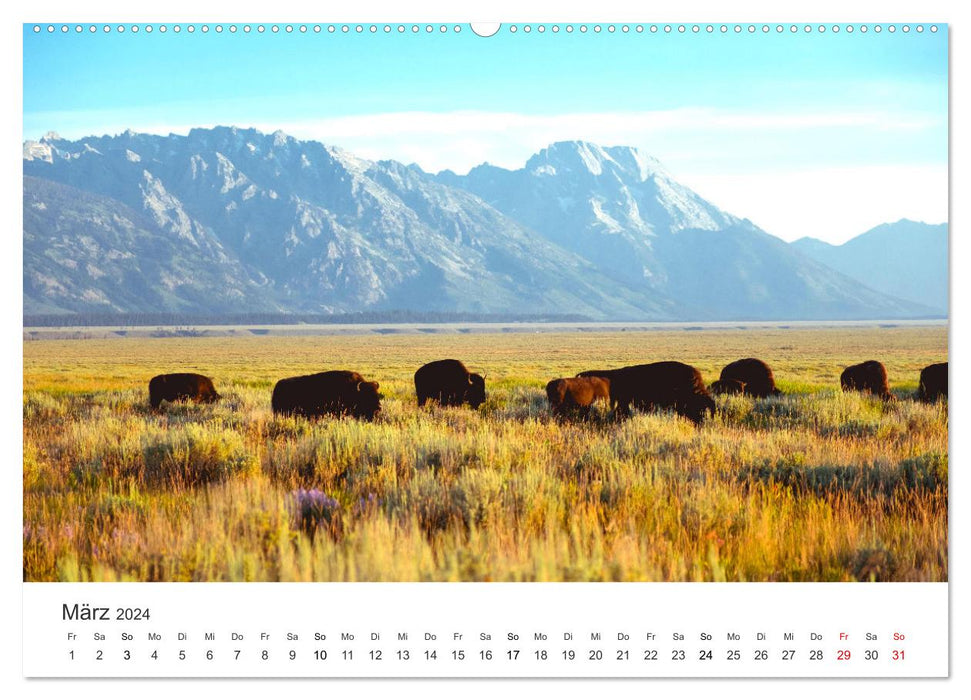 Wyoming - Der Bundesstaat der großen Ebenen. (CALVENDO Wandkalender 2024)