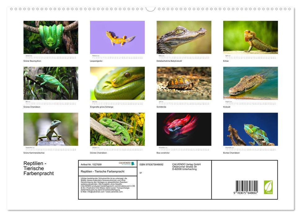 Reptilien - Tierische Farbenpracht (CALVENDO Premium Wandkalender 2024)