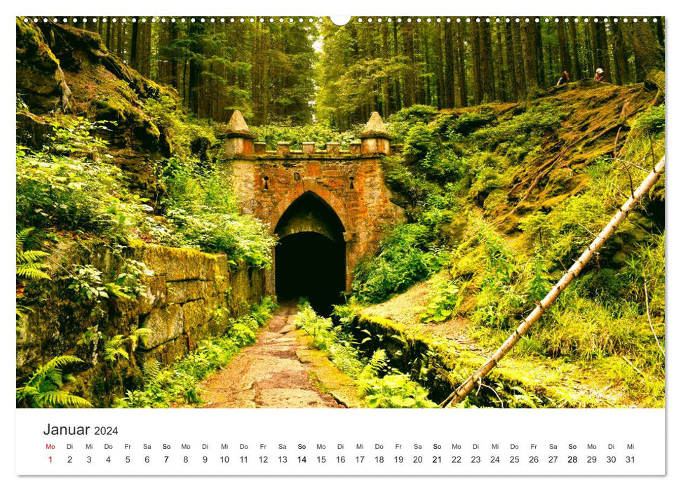 Lass Deiner Fantasie freien Lauf (CALVENDO Wandkalender 2024)