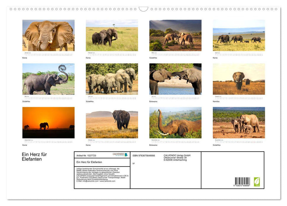 A heart for elephants (CALVENDO wall calendar 2024) 