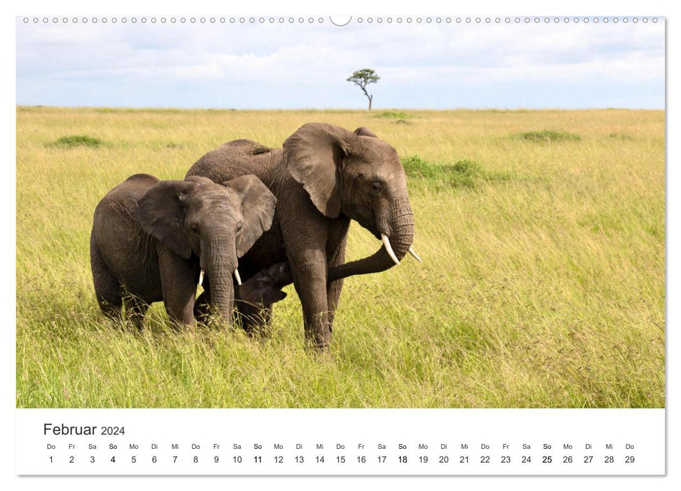 A heart for elephants (CALVENDO wall calendar 2024) 