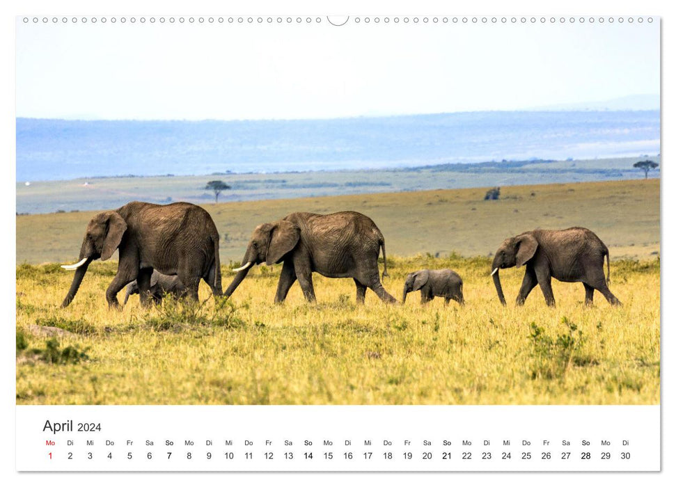 A heart for elephants (CALVENDO wall calendar 2024) 