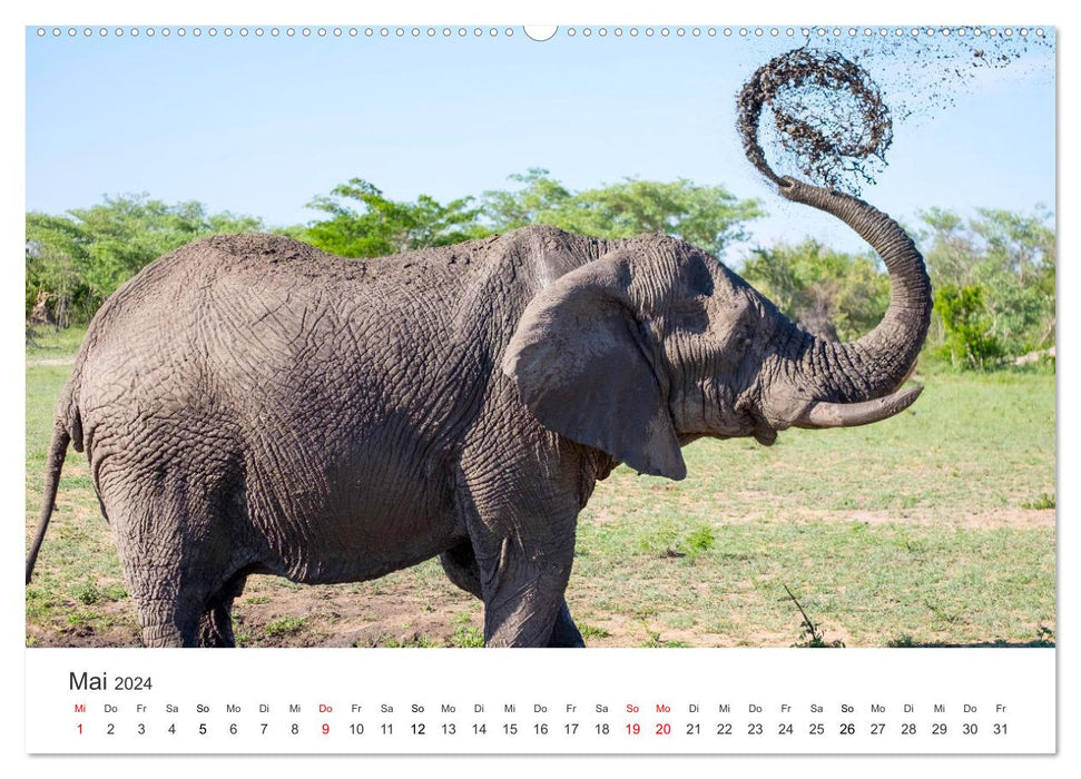 A heart for elephants (CALVENDO wall calendar 2024) 