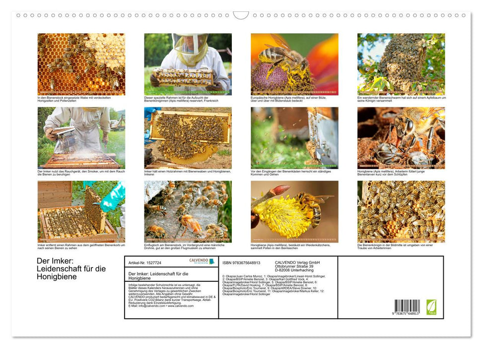 The beekeeper: passion for honey bees (CALVENDO wall calendar 2024) 