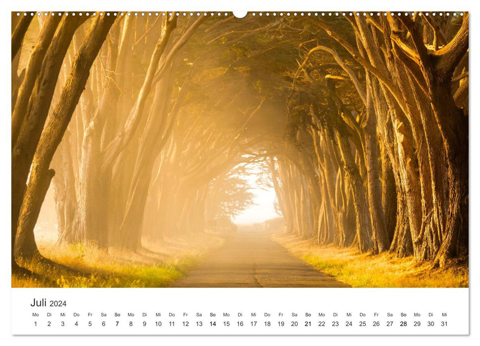 Weisheit - Der Weg ist das Ziel (CALVENDO Premium Wandkalender 2024)