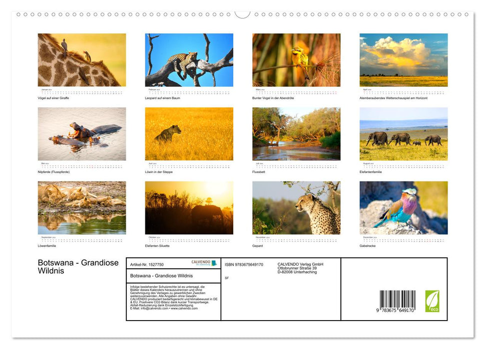 Botswana - Grandiose Wilderness (CALVENDO Premium Wall Calendar 2024) 
