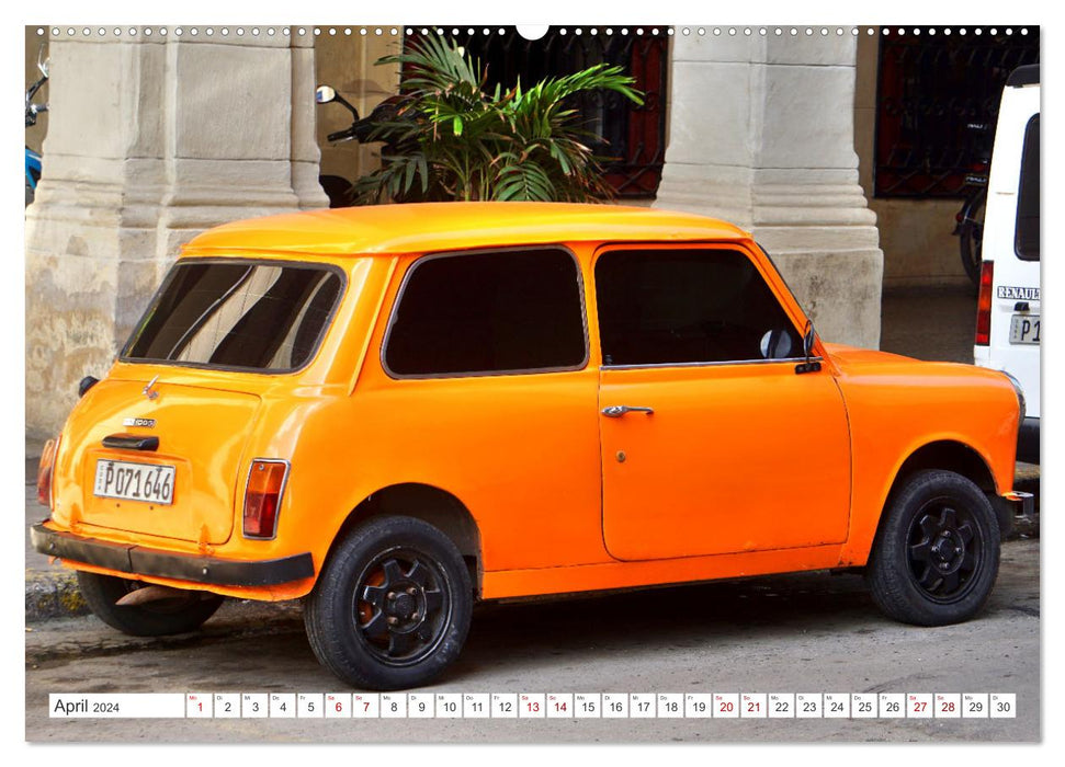 British Beauties - The MINI 1000 in Cuba (CALVENDO wall calendar 2024) 