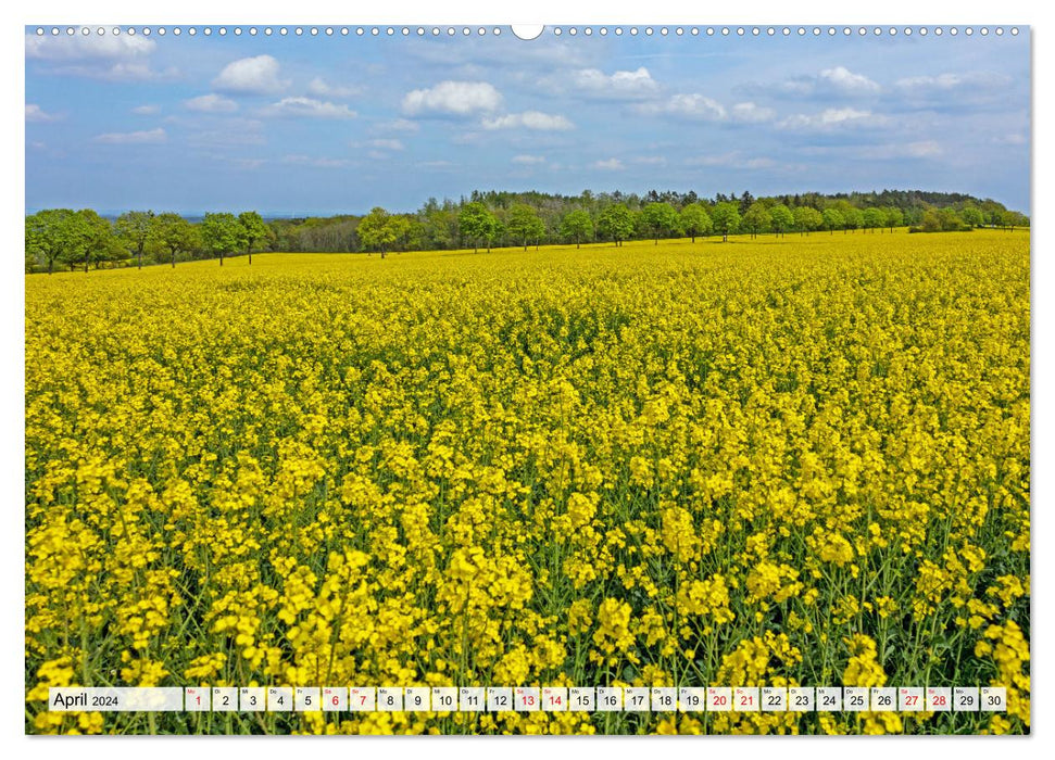 L'Eifel et les Hautes Fagnes (Calendrier mural CALVENDO Premium 2024) 