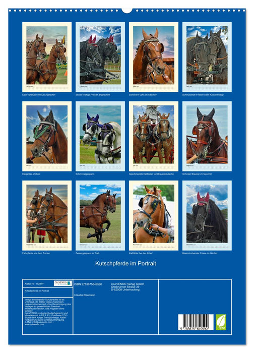 Kutschpferde im Portait (CALVENDO Premium Wandkalender 2024)
