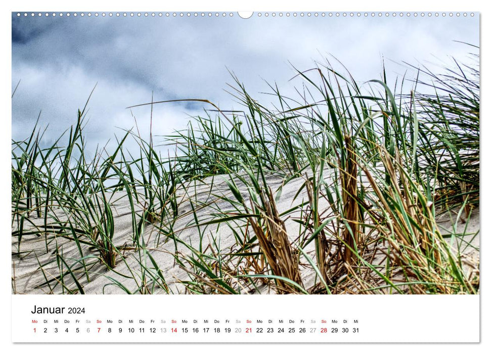 Dune moments - A day in the dunes of North Jutland (CALVENDO Premium Wall Calendar 2024) 