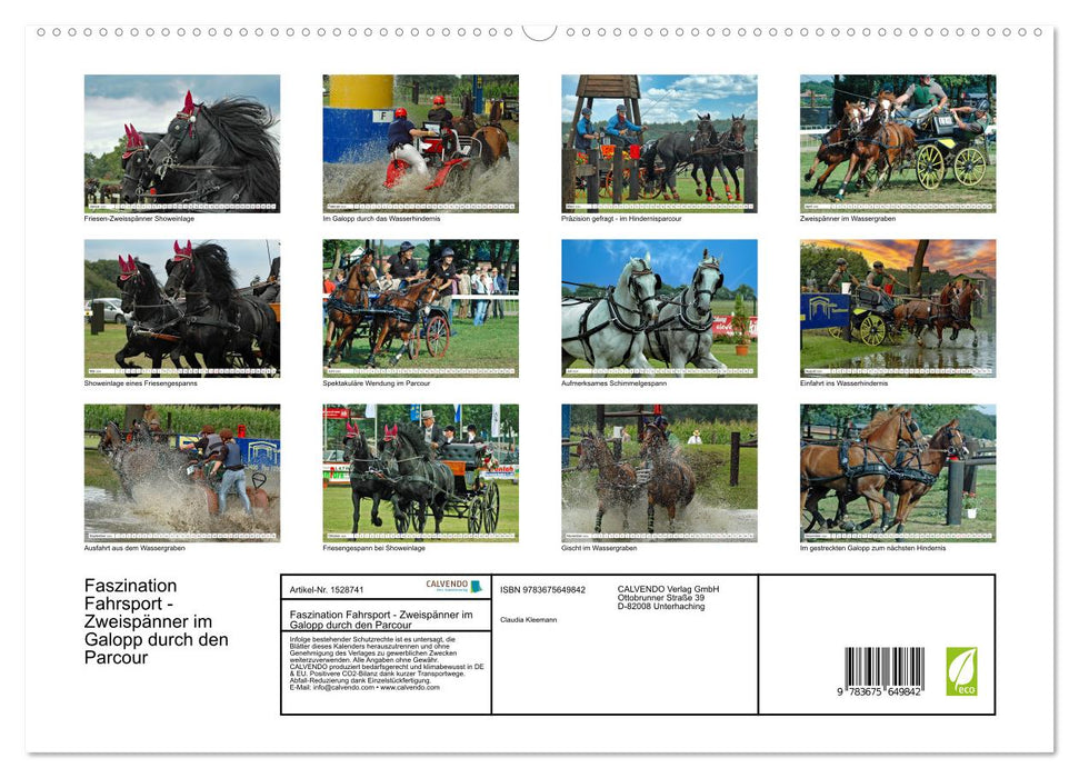 The fascination of driving - pairs galloping through the course (CALVENDO Premium Wall Calendar 2024) 