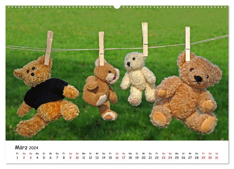 Allerliebste Teddybären (CALVENDO Premium Wandkalender 2024)