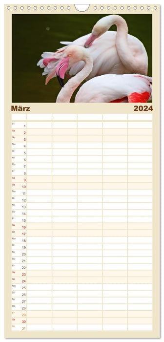 Flamingo Zauber (CALVENDO Familienplaner 2024)