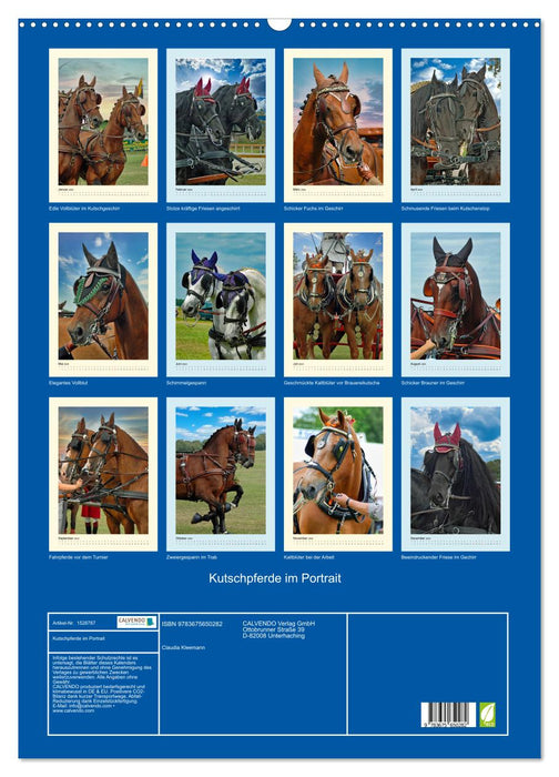 Kutschpferde im Portait (CALVENDO Wandkalender 2024)