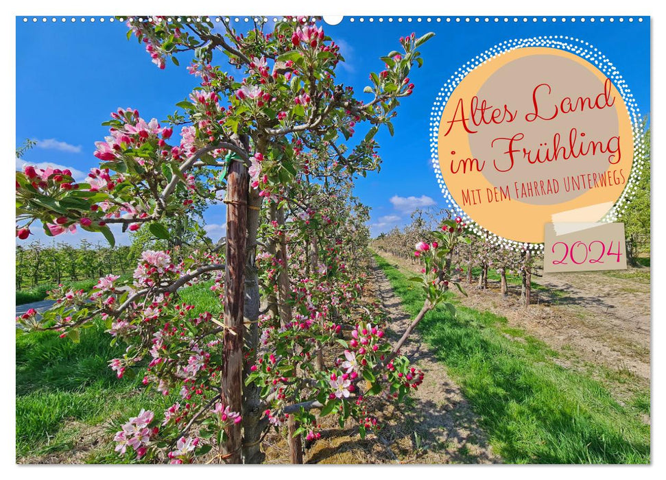 Altes Land im Frühling - Mit dem Fahrrad unterwegs (CALVENDO Wandkalender 2024)