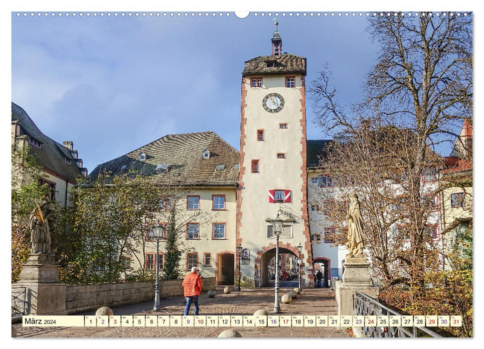 Waldshut - liebenswertes Städtle am Hochrhein (CALVENDO Wandkalender 2024)