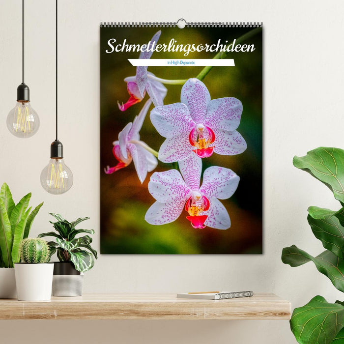 Schmetterlingsorchideen in High Dynamic (CALVENDO Wandkalender 2024)