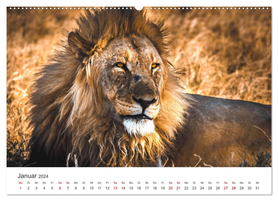 Namibia - A paradise on earth. (CALVENDO Premium Wall Calendar 2024) 