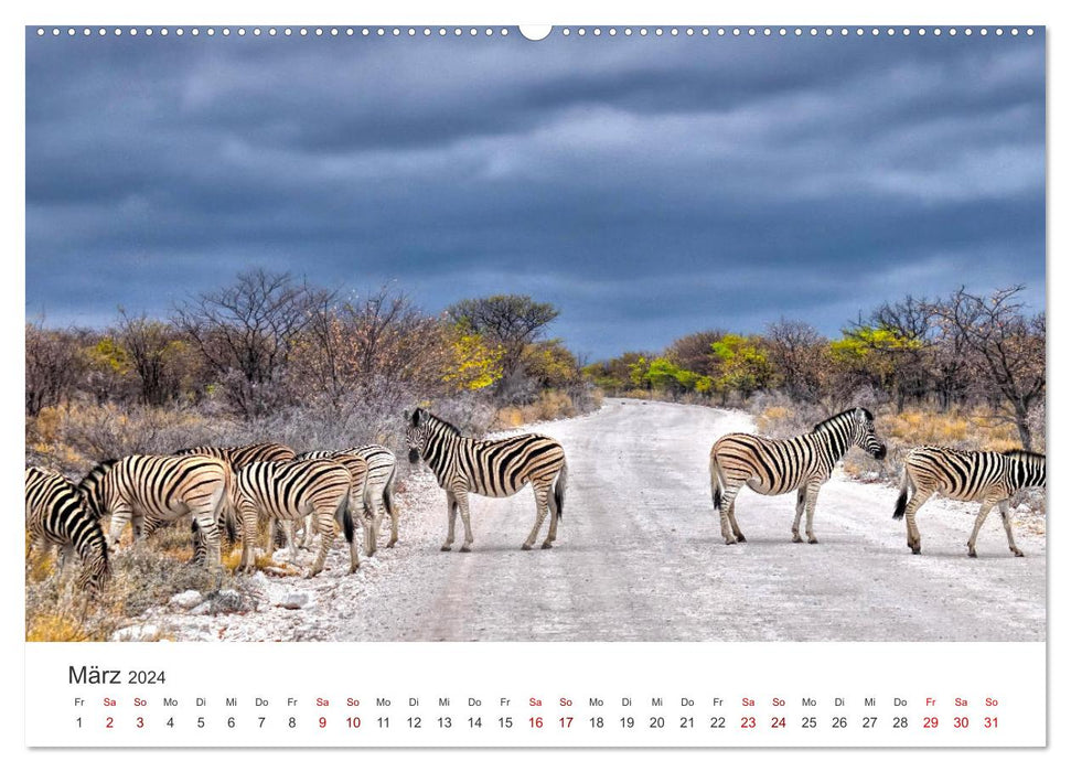 Namibia - A paradise on earth. (CALVENDO Premium Wall Calendar 2024) 