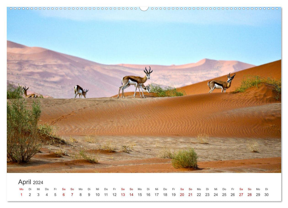 Namibia - A paradise on earth. (CALVENDO Premium Wall Calendar 2024) 