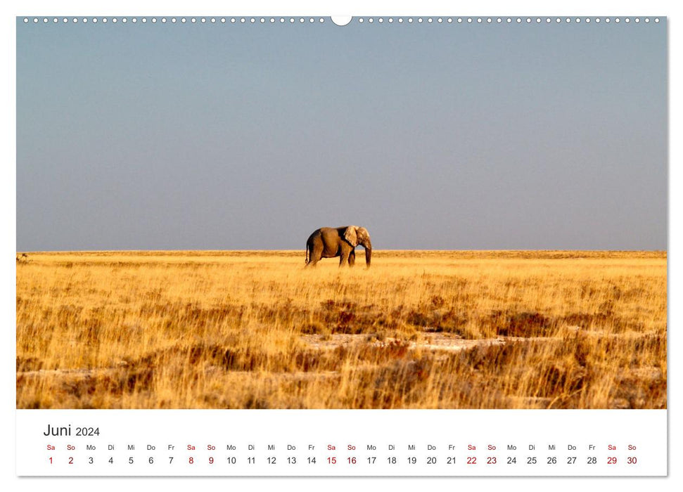 Namibia - Ein Paradies auf Erden. (CALVENDO Premium Wandkalender 2024)