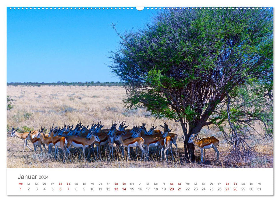 Namibia - Land im Süden Afrikas (CALVENDO Wandkalender 2024)