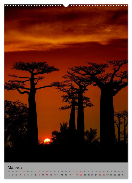 MADAGASKAR: Baobabs, Lemuren, Naturwunder (CALVENDO Wandkalender 2024)