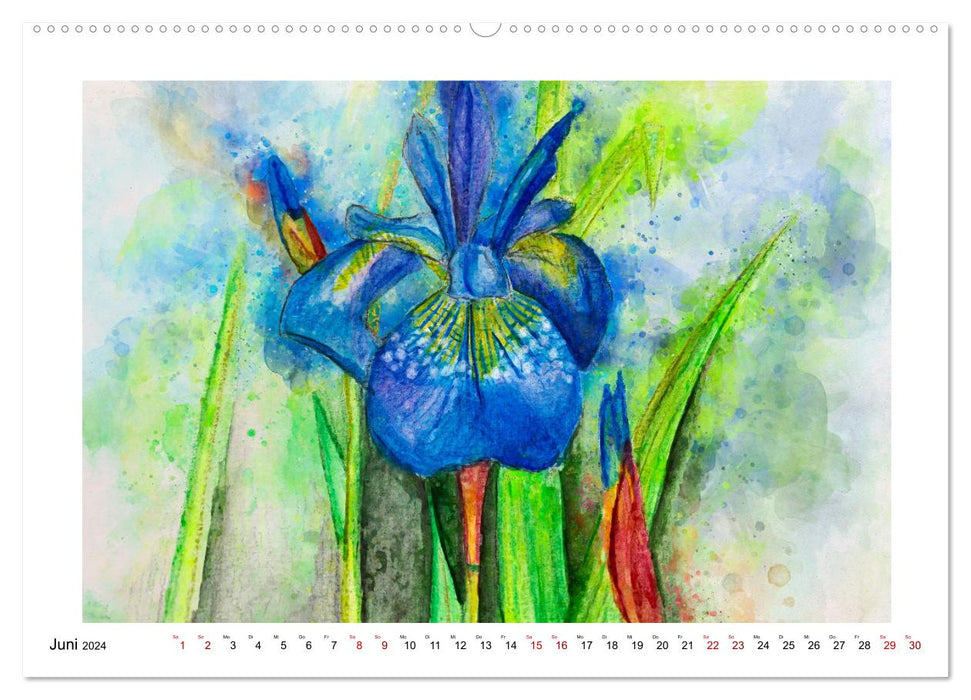 Blüten & Blumen Aquarelle - Farbenfrohe Schönheiten (CALVENDO Wandkalender 2024)