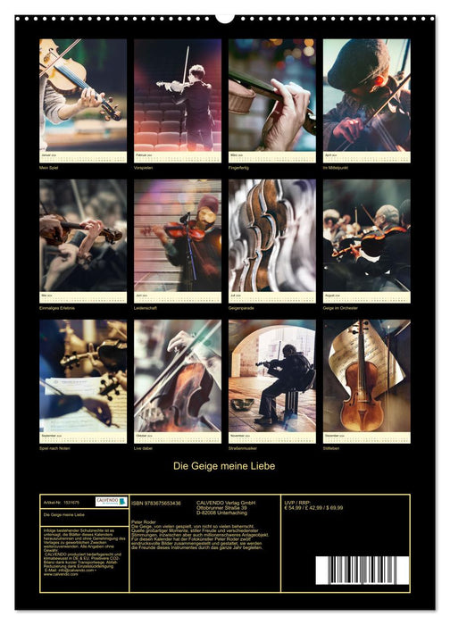 Die Geige meine Liebe (CALVENDO Wandkalender 2024)