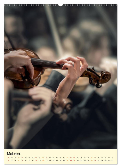 Die Geige meine Liebe (CALVENDO Wandkalender 2024)