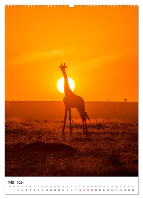 Giraffe - Bemerkenswerte Tiere. (CALVENDO Premium Wandkalender 2024)
