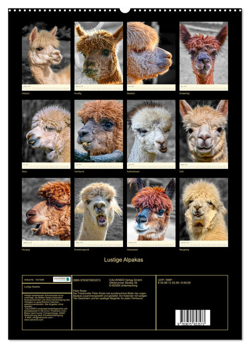 Lustige Alpakas (CALVENDO Wandkalender 2024)