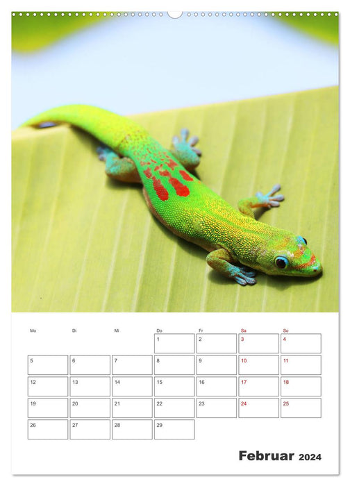 Hawaii - Reiseplaner (CALVENDO Wandkalender 2024)