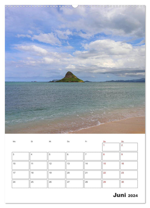 Hawaii - Reiseplaner (CALVENDO Wandkalender 2024)