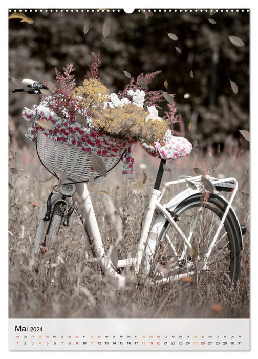 Fahrrad Alltag (CALVENDO Wandkalender 2024)
