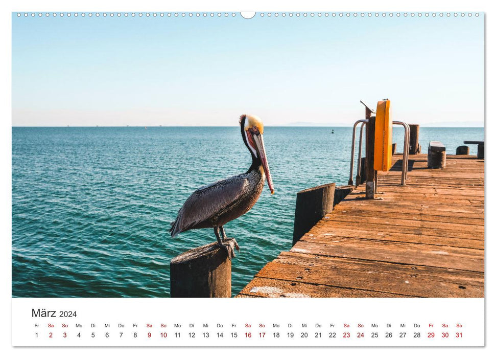 Santa Barbara - The Californian city on the Pacific. (CALVENDO Premium Wall Calendar 2024) 