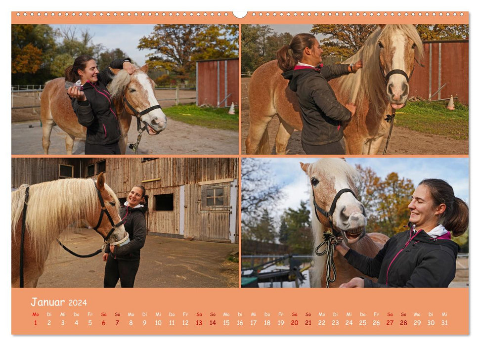 The fascination of equestrian sports (CALVENDO Premium Wall Calendar 2024) 