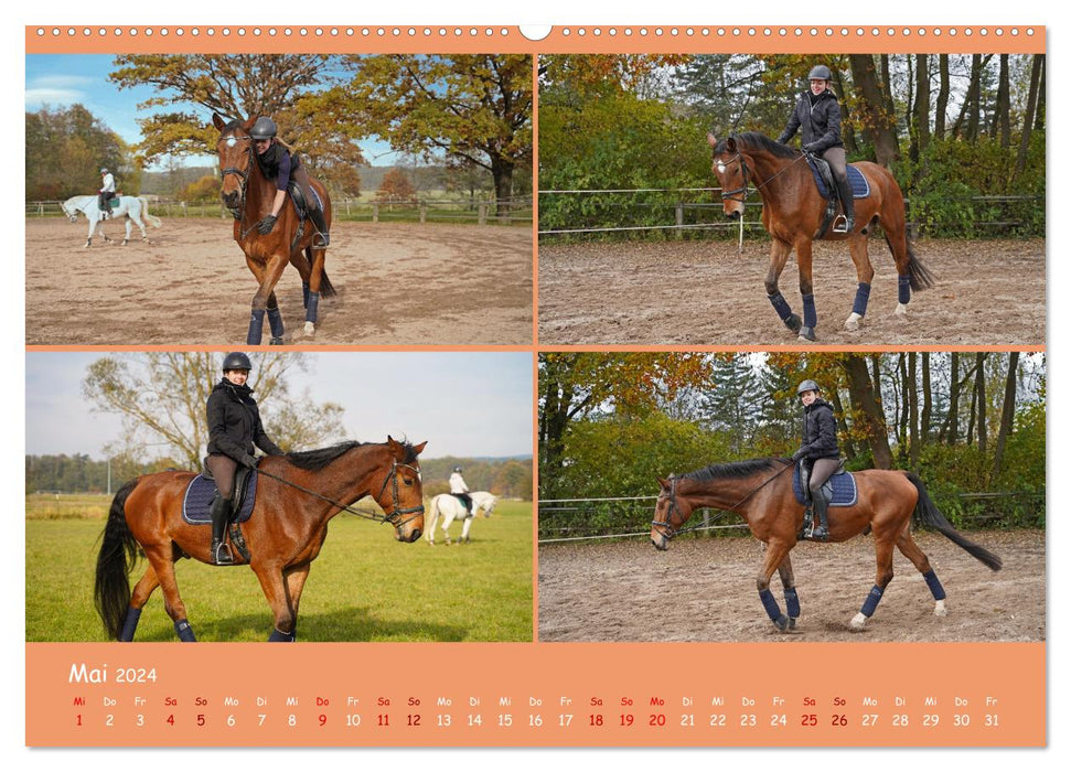 Faszination Reitsport (CALVENDO Premium Wandkalender 2024)