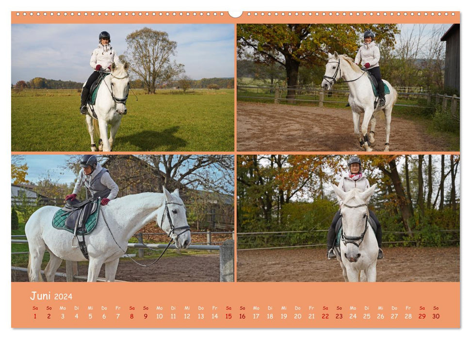 Faszination Reitsport (CALVENDO Premium Wandkalender 2024)