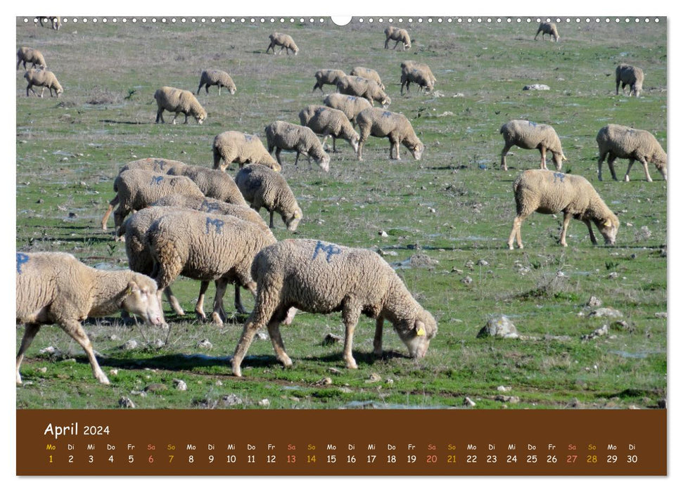 Estrémadure Espagne (Calendrier mural CALVENDO 2024) 