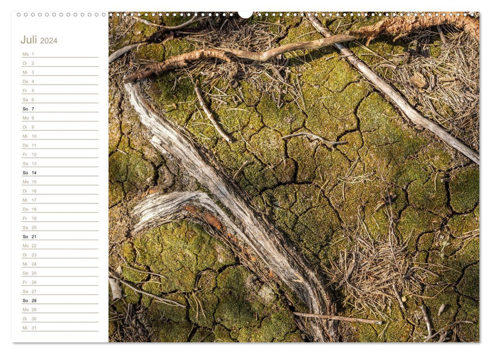 Naturkunstwerke - Strukturwelten (CALVENDO Premium Wandkalender 2024)