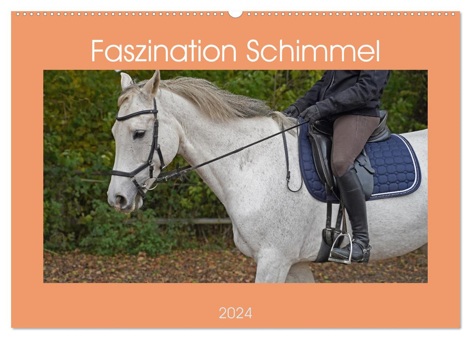 Faszination Schimmel (CALVENDO Wandkalender 2024)