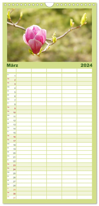Magnolien-Frühling (CALVENDO Familienplaner 2024)