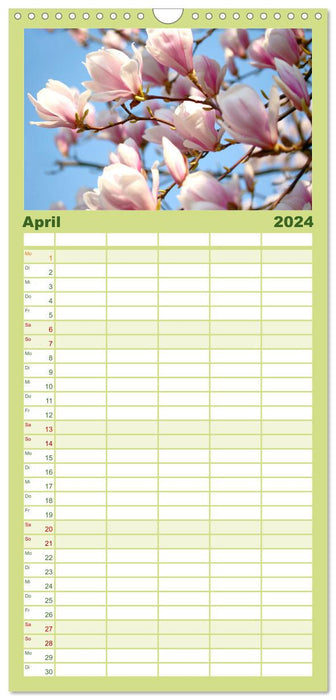 Magnolia Printemps (Agenda familial CALVENDO 2024) 