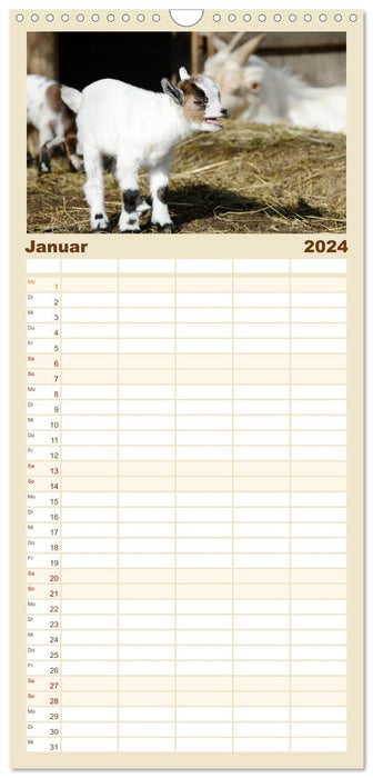 Enfants chèvres (Agenda familial CALVENDO 2024) 