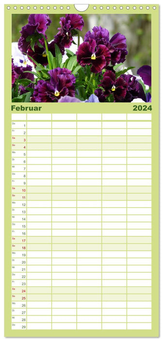 Jolies fleurs (Agenda familial CALVENDO 2024) 