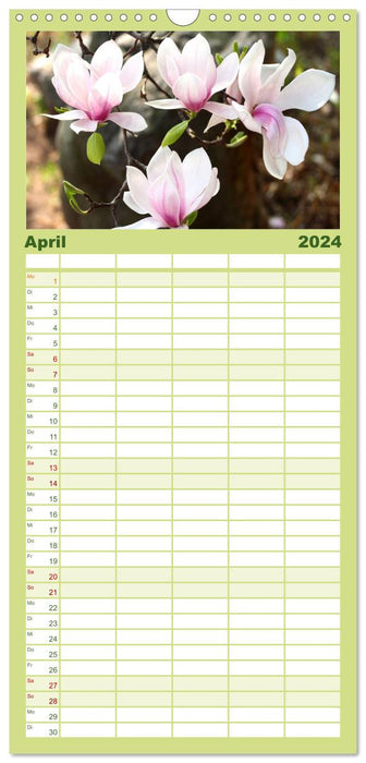 Jolies fleurs (Agenda familial CALVENDO 2024) 