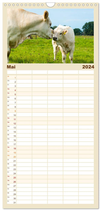 Geliebte Tiere auf dem Bauernhof (CALVENDO Familienplaner 2024)