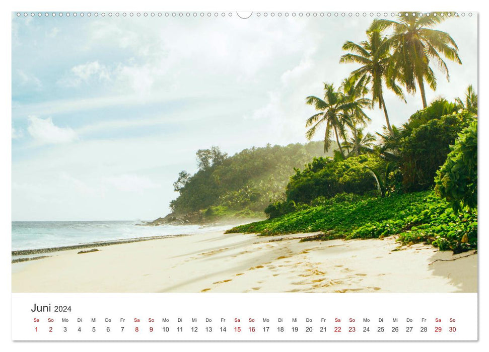 En réflexions sur les Seychelles (Calendrier mural CALVENDO 2024) 