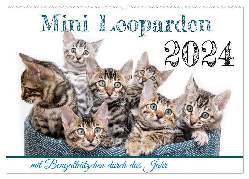 Mini leopards - with Bengal kittens throughout the year (CALVENDO wall calendar 2024) 